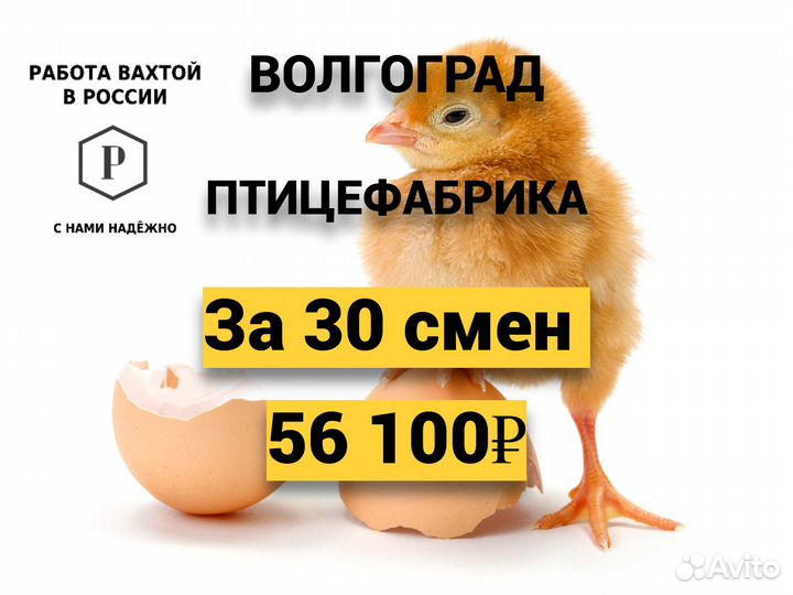 Упаковщики фасовщики / Вахта Волгоград / Питание