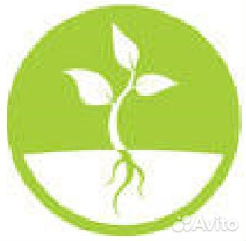 Требуется офисный работник