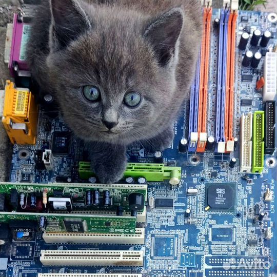Компьютерная помощь