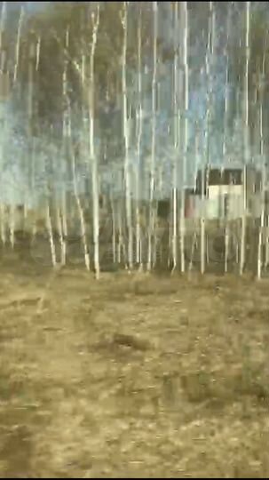 Участок 10,6 сот. (ИЖС)
