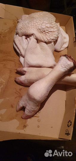 Требуха говяжья