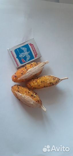 Декоративная кукуруза