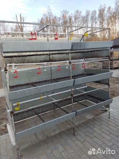 Клетка для бройллеров ш 200 см