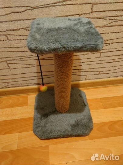 Когтеточка