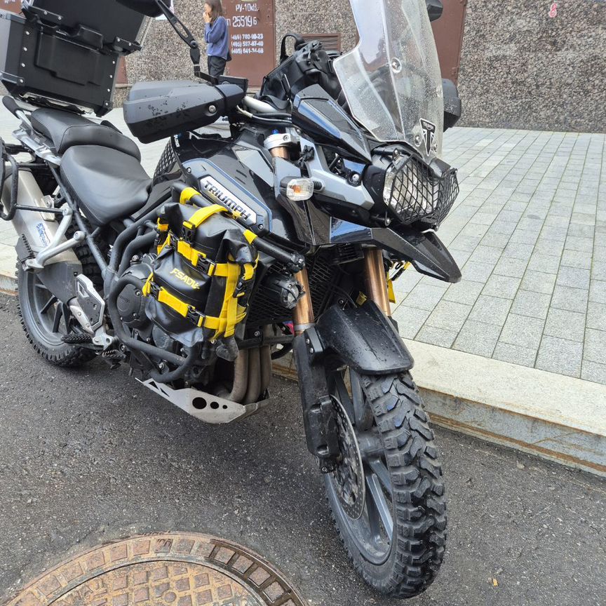 triumph tiger 1200 - Купить мотоциклы и мототехнику 🏍️ в Москве