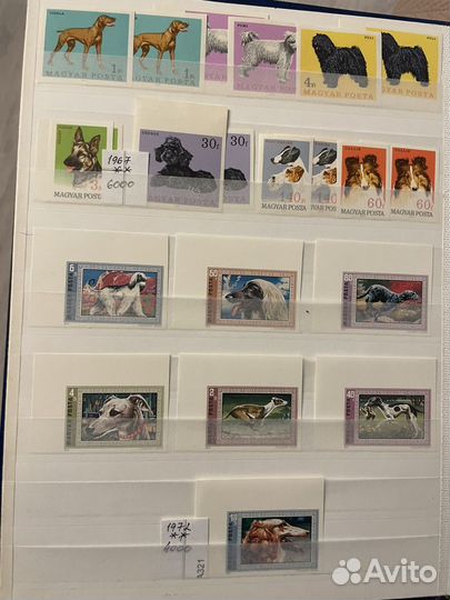 Венгрия,Албания,Румыния-б/з