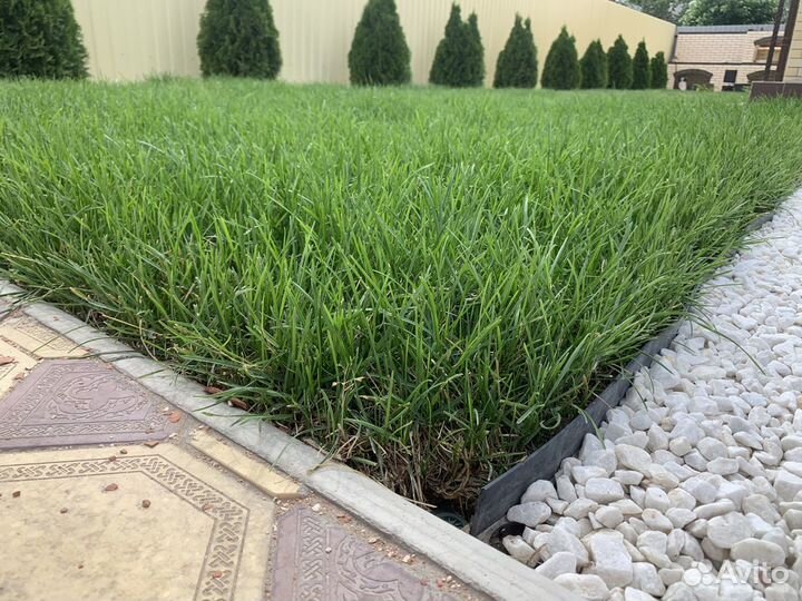 Автополив, Рулонный газон, благоустройство