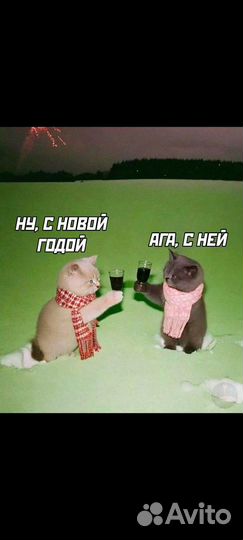 realme C11 (2021), 2/32 ГБ