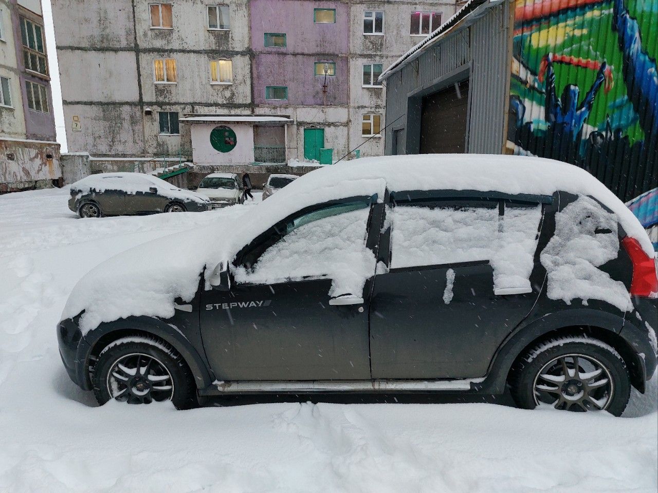 Renault Sandero Stepway: фото владельца
