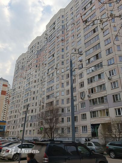 1-к. квартира, 43,7 м², 15/17 эт.