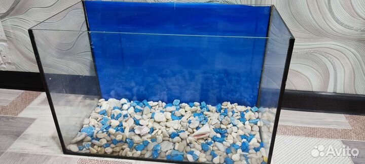 Коралл для аквариума