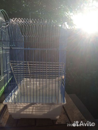 Клетка для попугая в зелёной жил корел