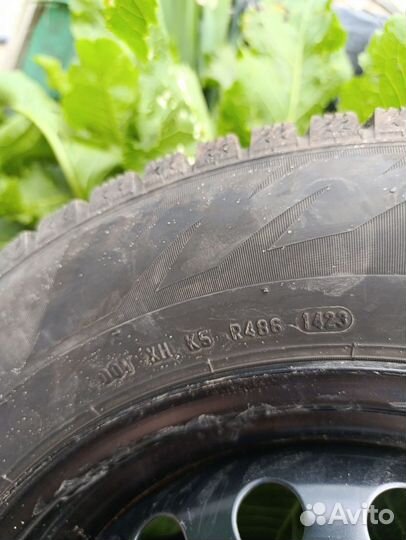 Pirelli Formula Ice 195/65 R15