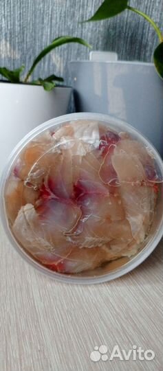 Рыба холодного копчения