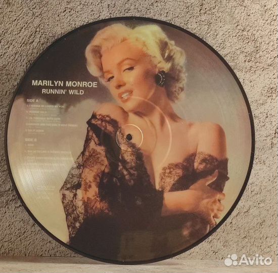 Виниловые пластинки Picture Disc