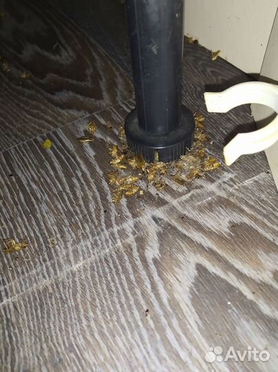 Дезинфекция Уничтожение обработка тараканов клопов