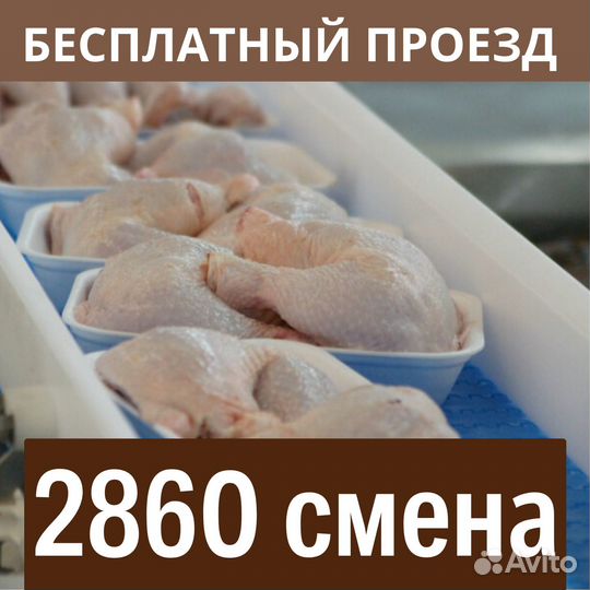 Вахта Пенза бесплатный выеезд из Тольятти