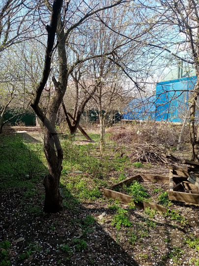 Участок 8 сот. (ИЖС)