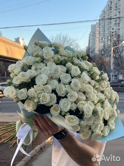 51 Кустова роза