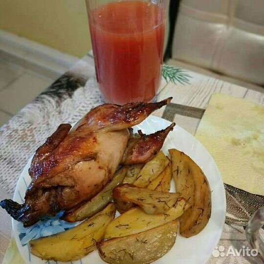 Инкубационное яйцо Перепела Техасы