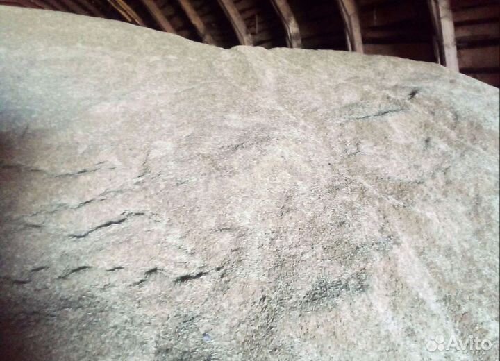 Фуражная кукуруза, Сахарная свёкла корма