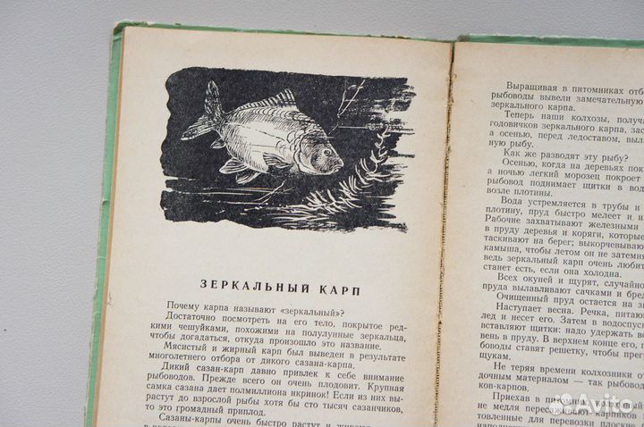 Беседы о животных. Клыков 1958 год винтаж