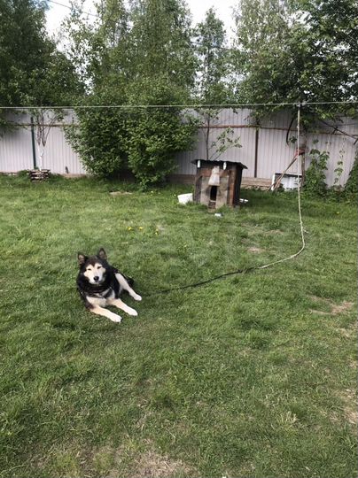 Дом 112 м² на участке 12 сот.