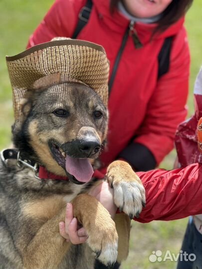 Жизнерадостному Рикки плохо в приюте
