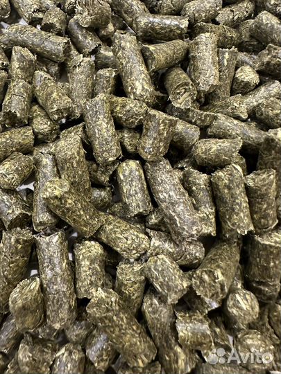 Овес, Пшеница, Люцерна в гранулах. Семена трав