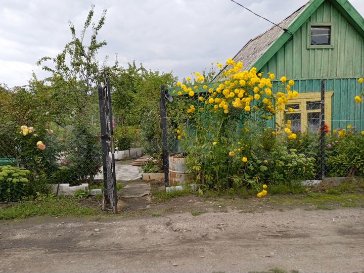 Участок 5 сот. (СНТ, ДНП)
