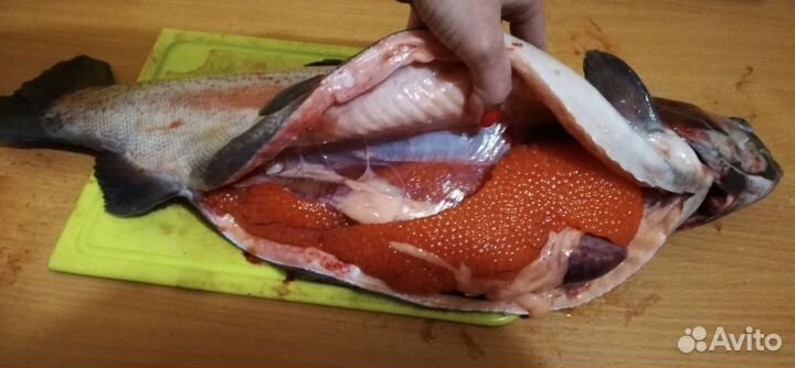 Форель с икрой