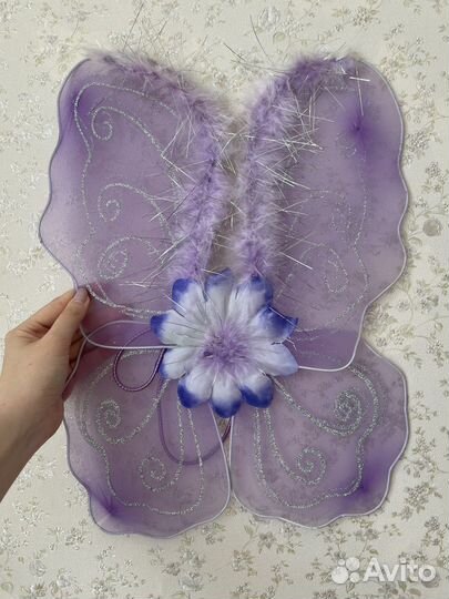 Крылья бабочек