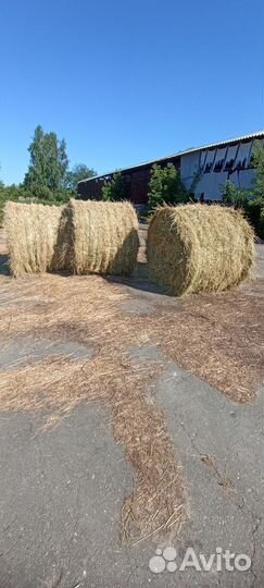 Сено в рулонах с доставкой