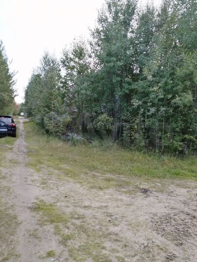 Участок 4 сот. (СНТ, ДНП)