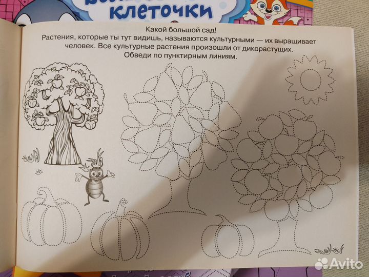 Прописи