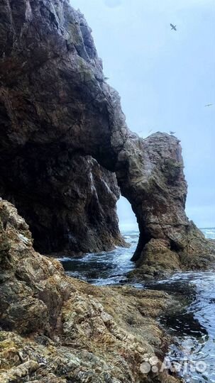 Тур ны мыс Великан(Птичий)