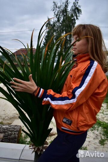 Искуственная Пальма