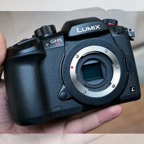 Panasonic lumix dc GH5s