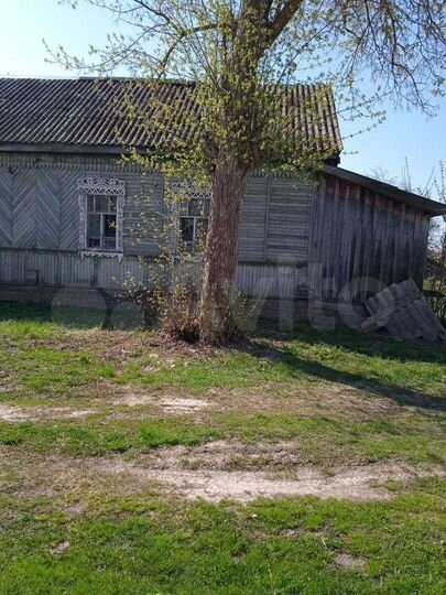 Участок 12 сот. (СНТ, ДНП)