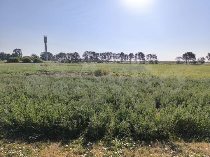 Участок 20 сот. (ИЖС)