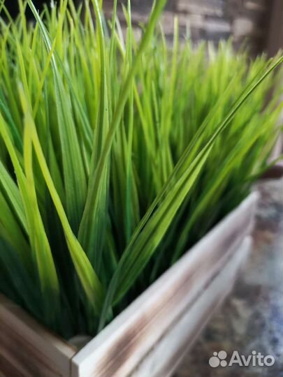 Искусственная зелень в ящиках-кашпо, декор, осока