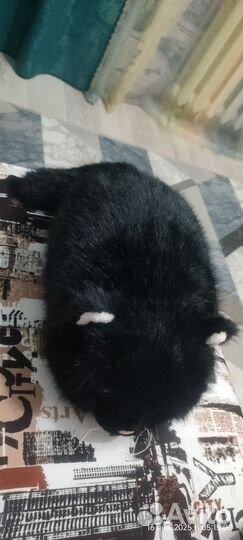 Мягкая игрушка черный кот