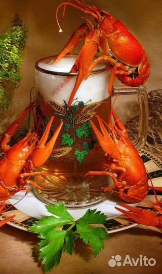 Живые раки в центре города