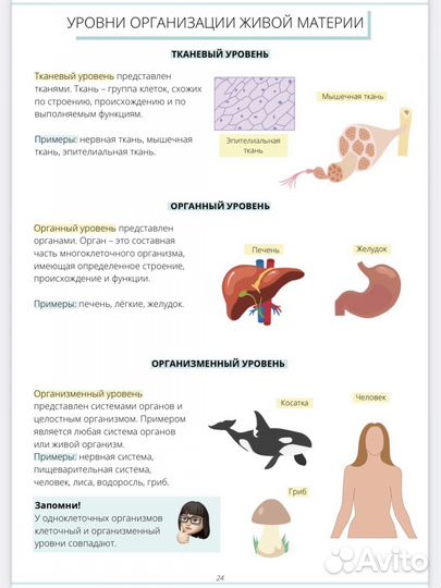 Учебник по биологии Алена Бриз