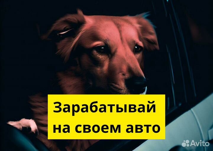 Вакансия водителя в Яндекс GO