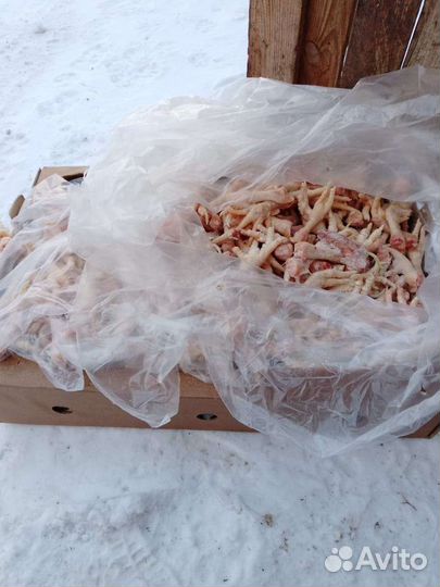 Корма для животных