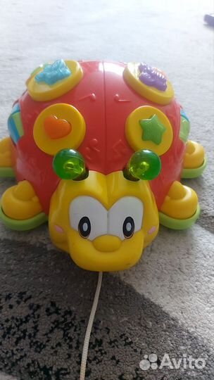 Божья коровка