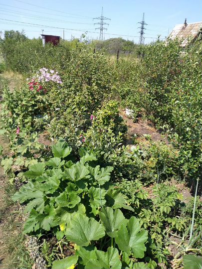 Дача 10 м² на участке 6 сот.