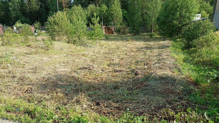Участок 11,4 сот. (СНТ, ДНП)