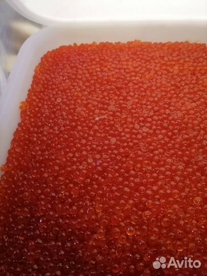 Икра горбуши, Камчатка, Икра